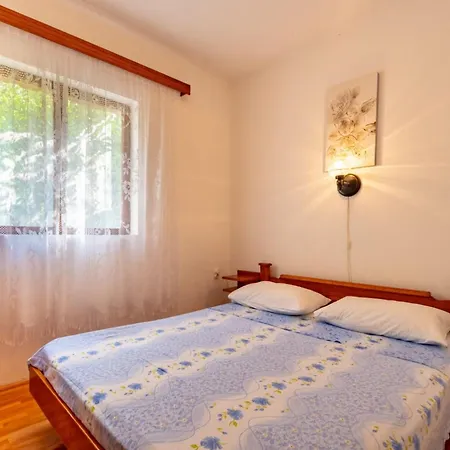 Holiday Ivko Holiday home *